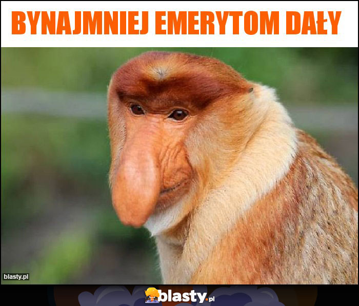 Bynajmniej emerytom dały