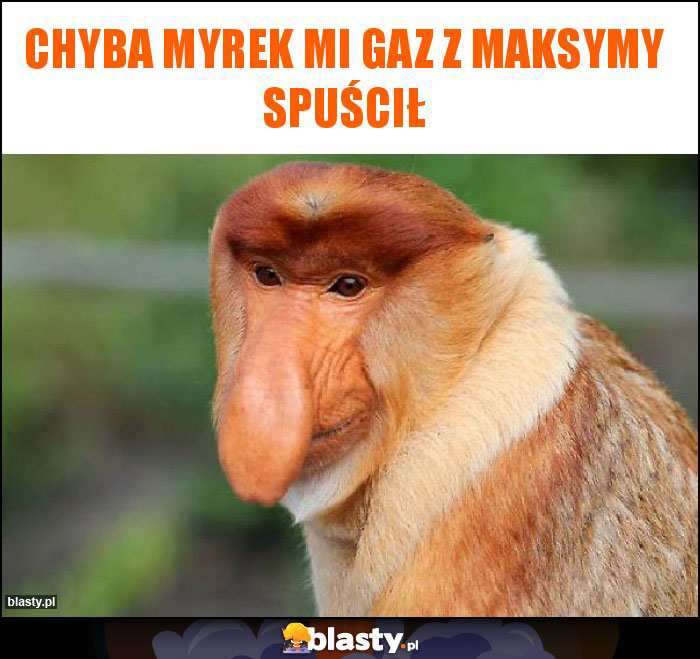 Chyba Myrek mi gaz z Maksymy spuścił