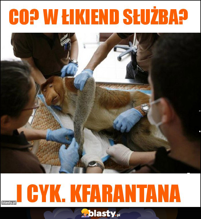 Co? W łikiend służba?