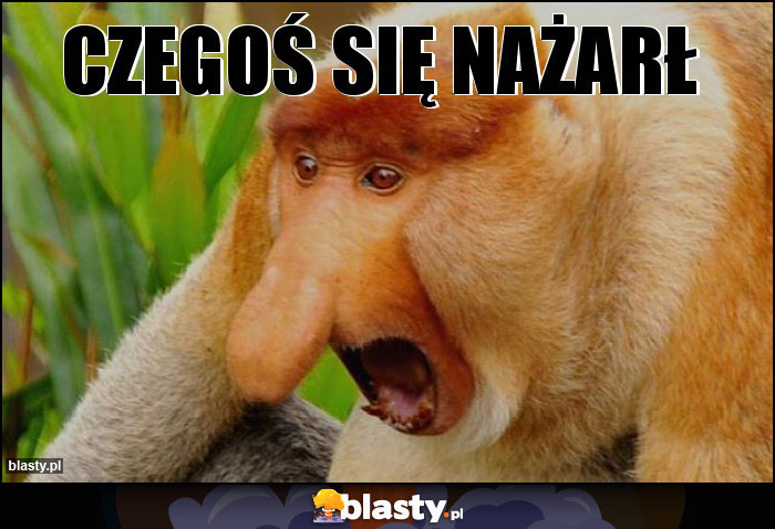 Czegoś się nażarł