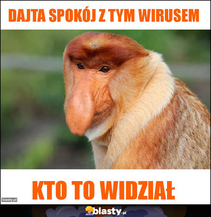 Dajta spokój z tym wirusem