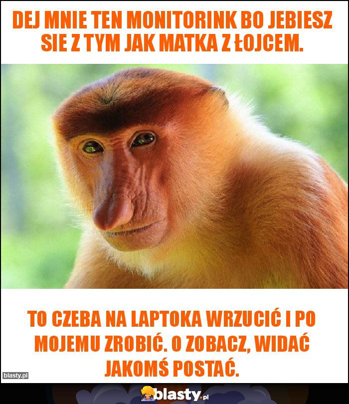 Dej mnie ten monitorink bo jebiesz sie z tym jak matka z łojcem.