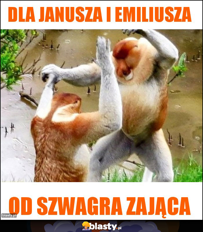 Dla janusza i emiliusza