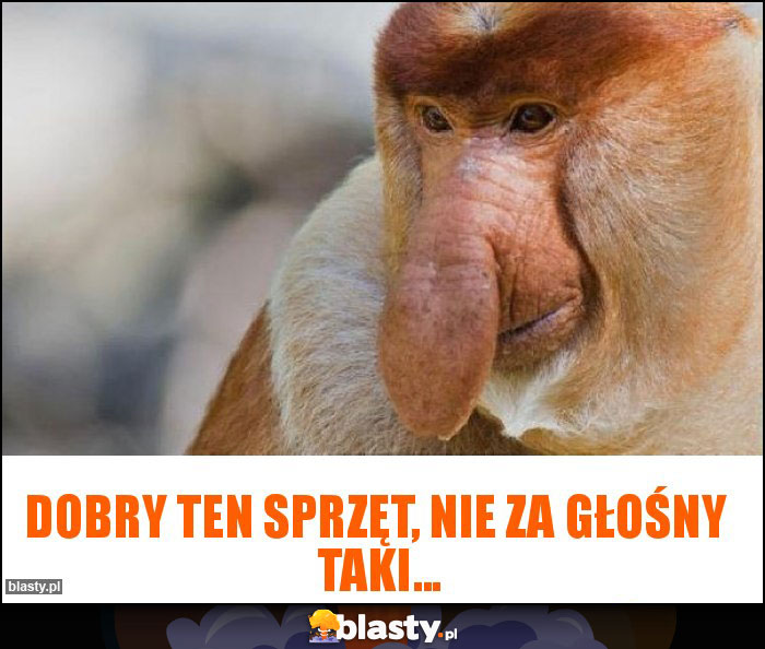 Dobry ten sprzęt, nie za głośny  taki...