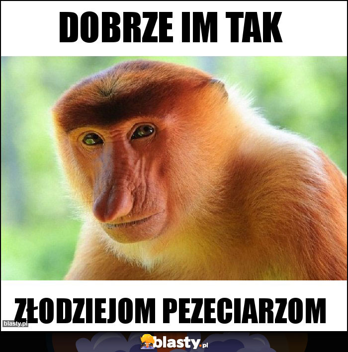 dobrze im tak