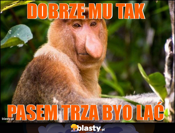 Dobrze mu tak