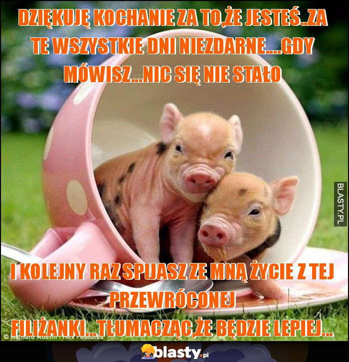 Dziękuję kochanie za to,że jesteś..za te wszystkie dni niezdarne....gdy mówisz...nic się nie stało