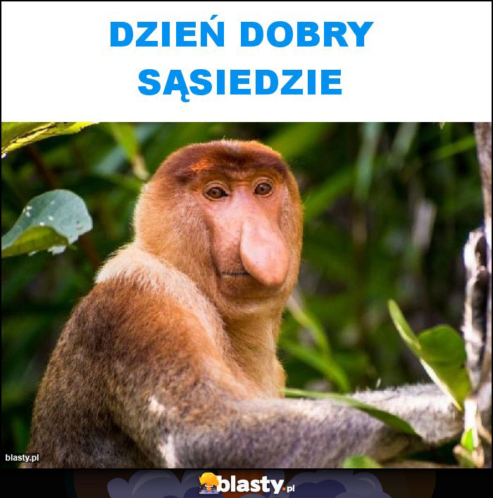 DZIEŃ DOBRY SĄSIEDZIE