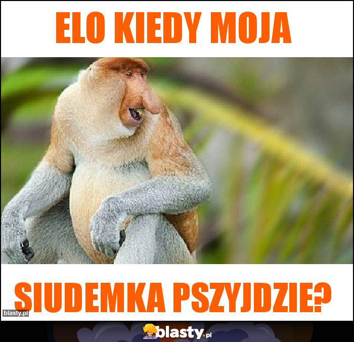 Elo kiedy moja