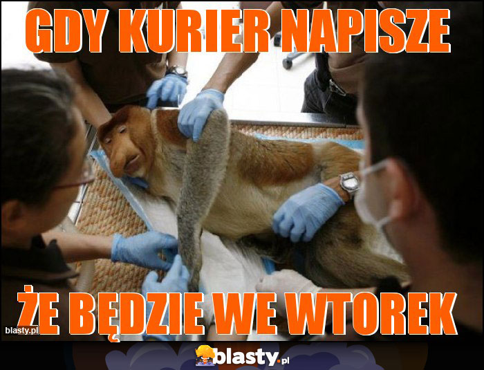 Gdy kurier napisze