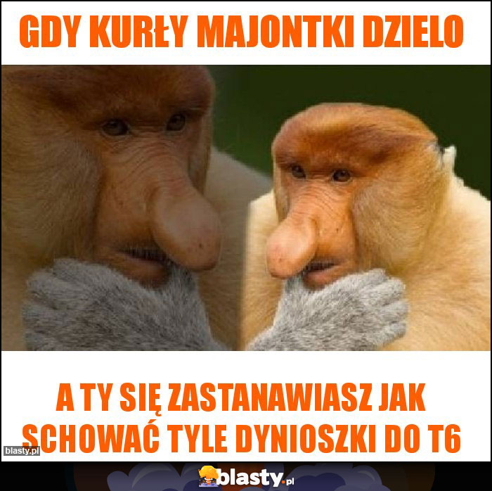 Gdy kurły majontki dzielo