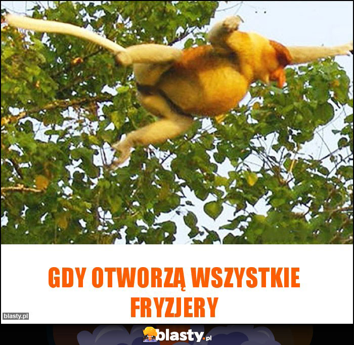 Gdy otworzą wszystkie fryzjery