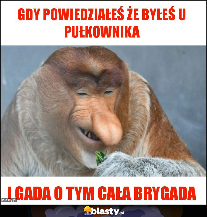 Gdy powiedziałeś że byłeś u pułkownika