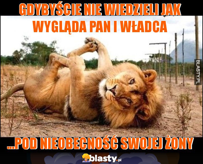 GDYBYŚCIE NIE WIEDZIELI JAK WYGLĄDA PAN I WŁADCA