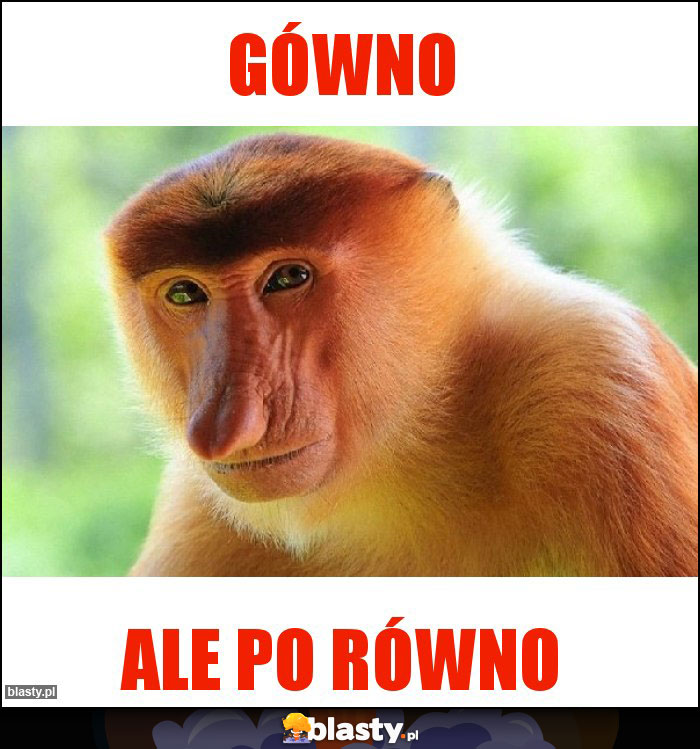 Gówno