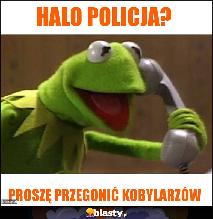 Halo policja?