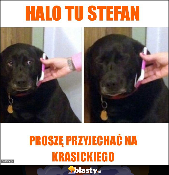 Halo tu Stefan