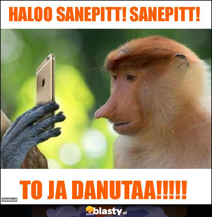 Haloo Sanepitt! SANEPITT!