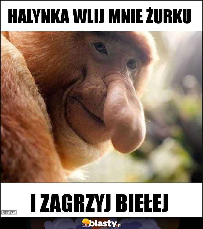 Halynka wlij mnie żurku