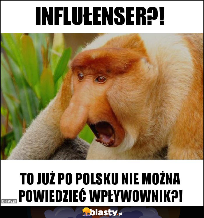 Influłenser?!