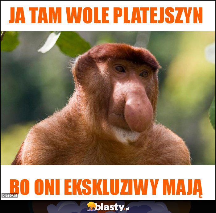 Ja tam wole PlaTejszyn