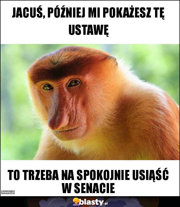 Jacuś, później mi pokażesz tę ustawę