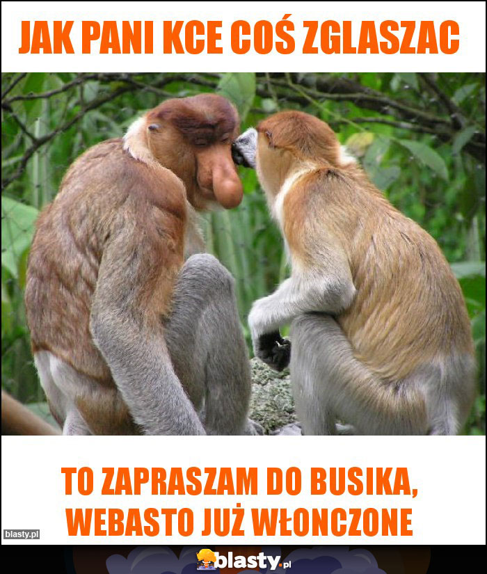 Jak pani kce coś zglaszac