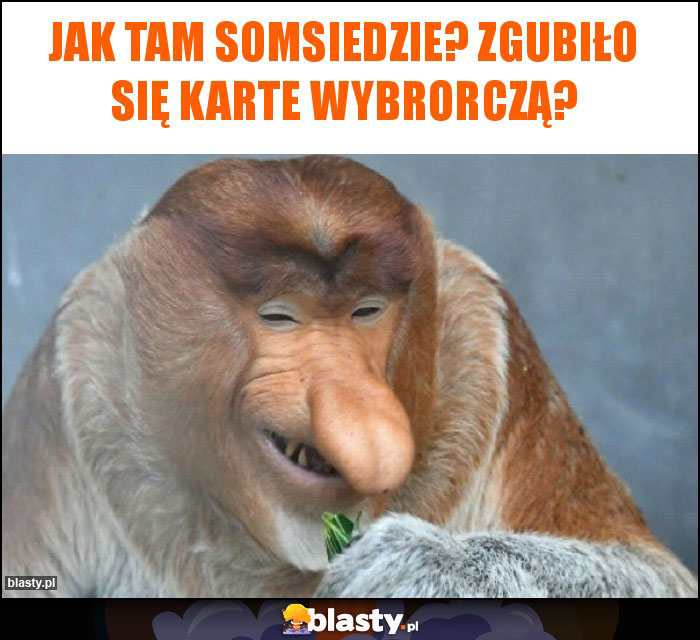 Jak tam somsiedzie? Zgubiło się karte wybrorczą?