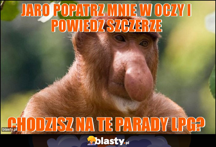 JARO POPATRZ MNIE W OCZY I POWIEDZ SZCZERZE