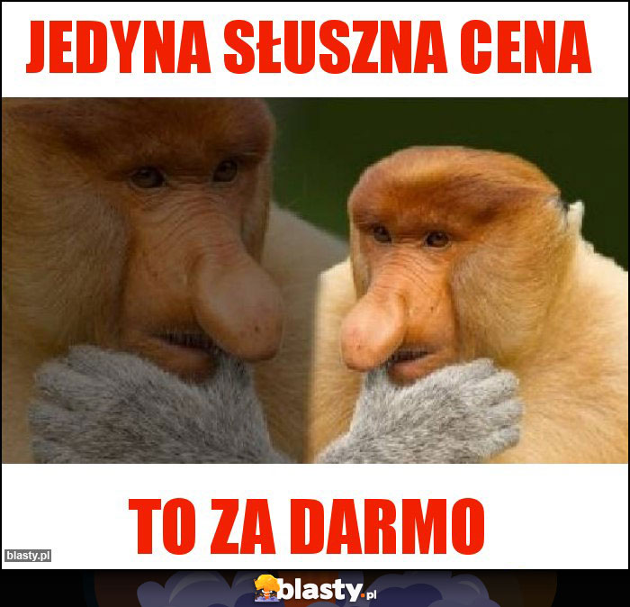 Jedyna słuszna cena