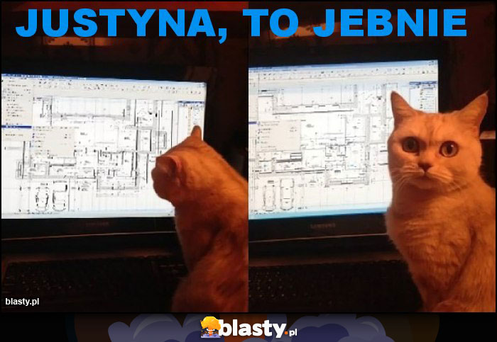 Justyna, to jebnie