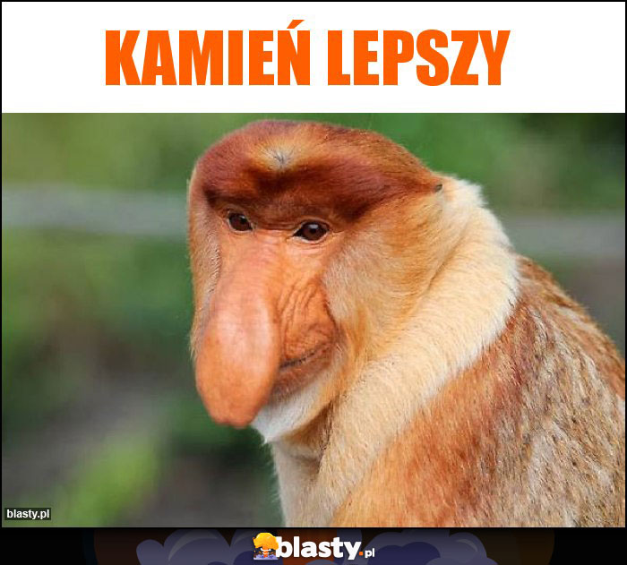 kamień lepszy