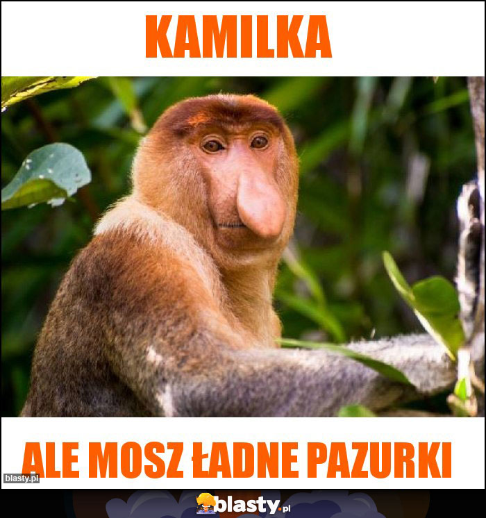 Kamilka