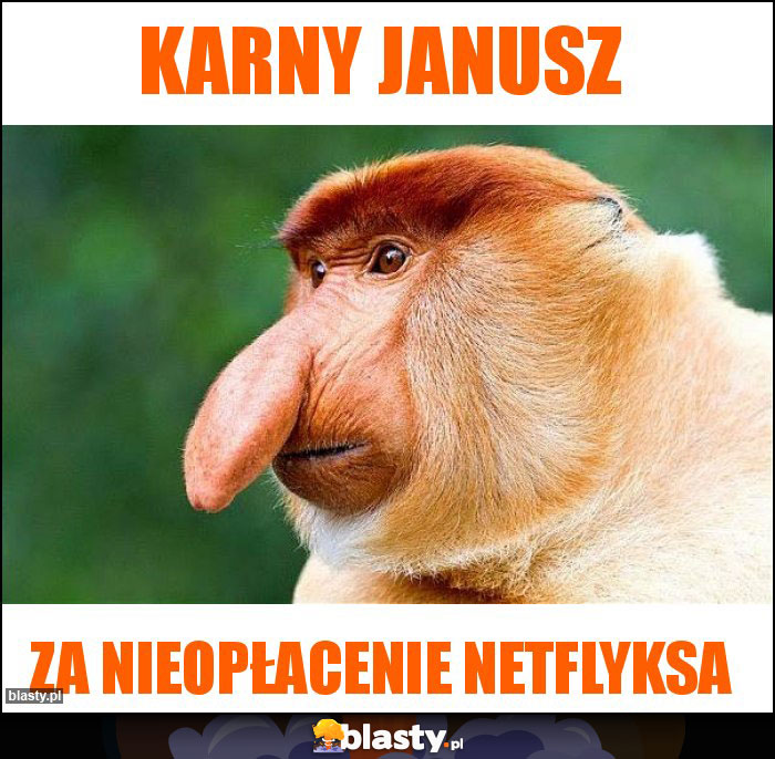 Karny Janusz