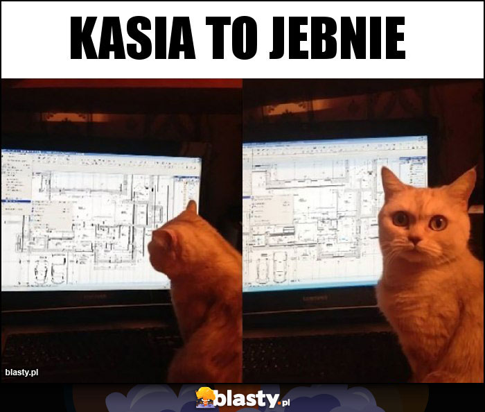 kasia to jebnie