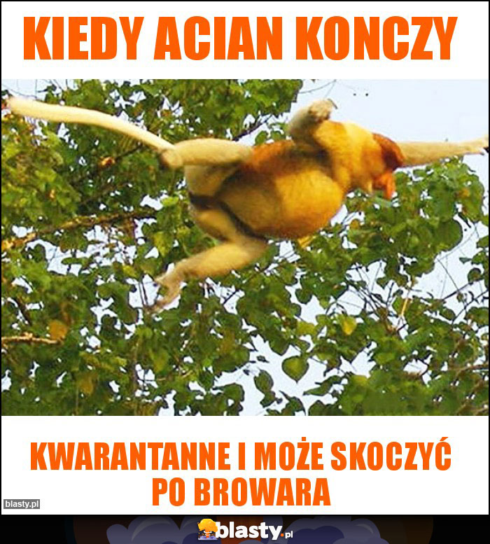 Kiedy acian konczy