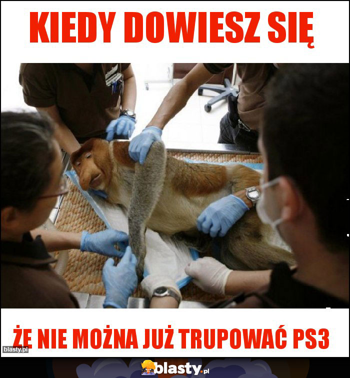 Kiedy dowiesz się