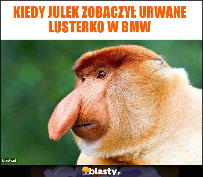 kiedy JULEK zobaczył urwane lusterko w BMW