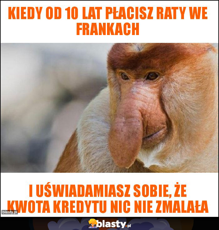 Kiedy od 10 lat płacisz raty we frankach