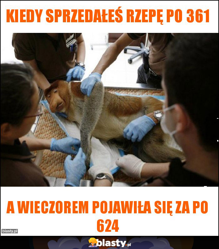 Kiedy sprzedałeś rzepę po 361