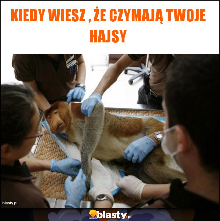 Kiedy wiesz , że czymają Twoje hajsy