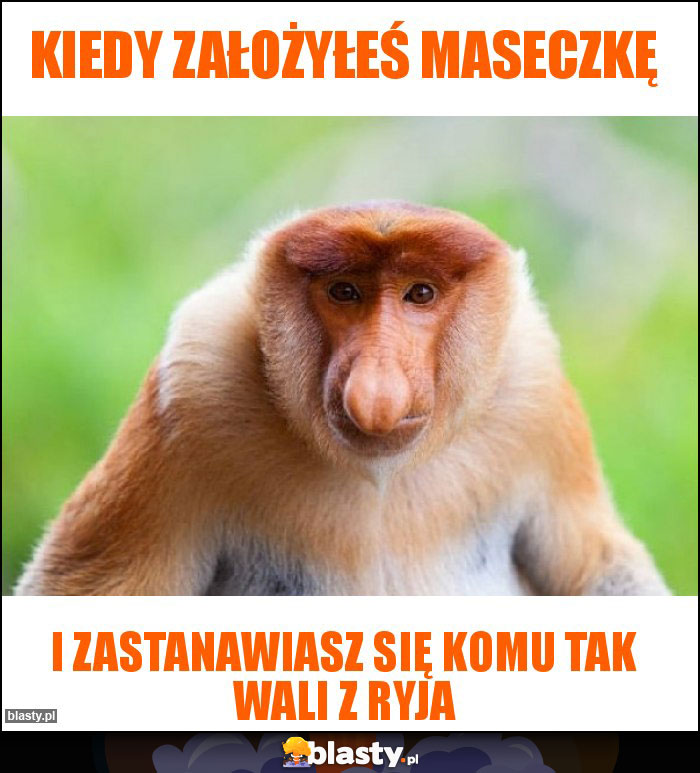 Kiedy założyłeś maseczkę