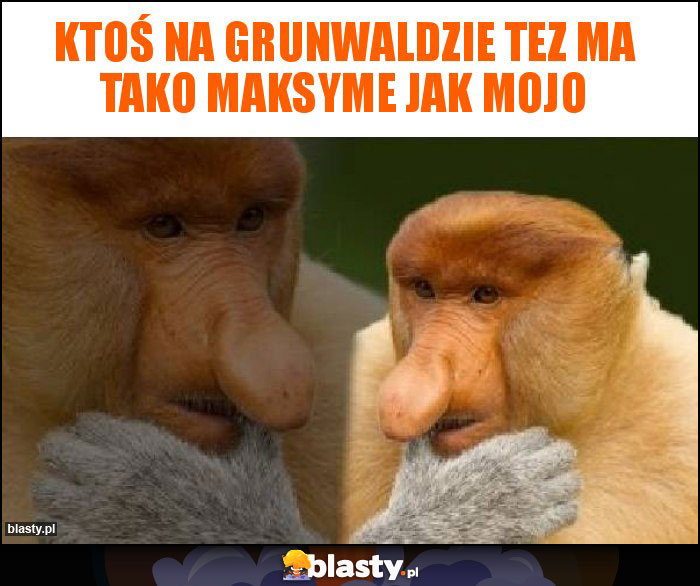 Ktoś na Grunwaldzie tez ma tako Maksyme jak mojo