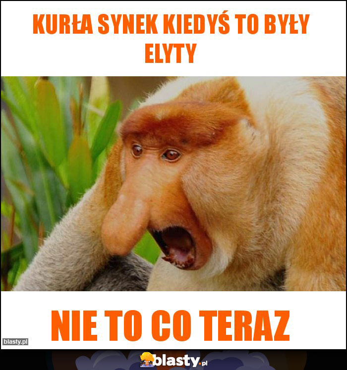 Kurła synek kiedyś to były elyty