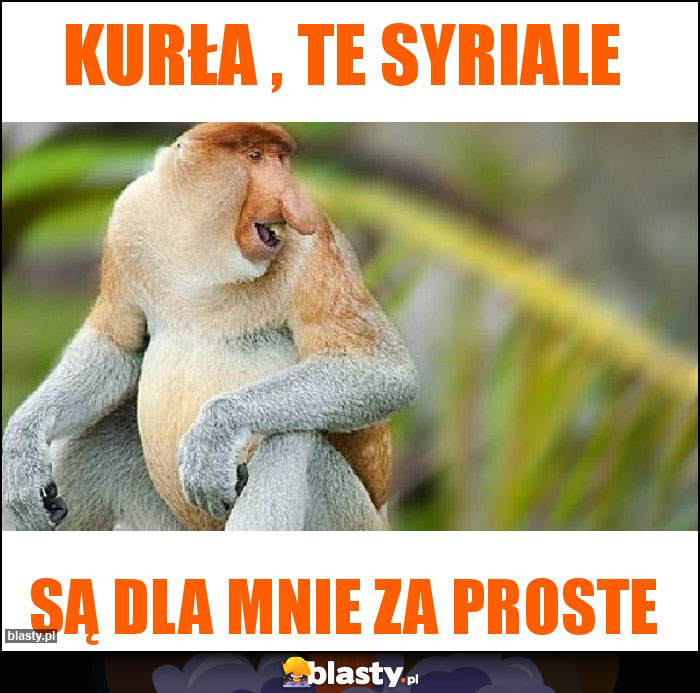 Kurła , te syriale