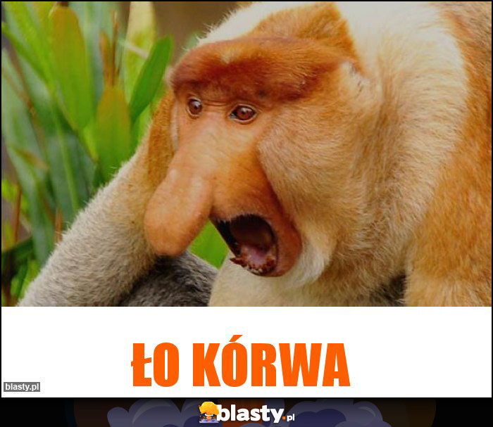 ŁO KÓRWA