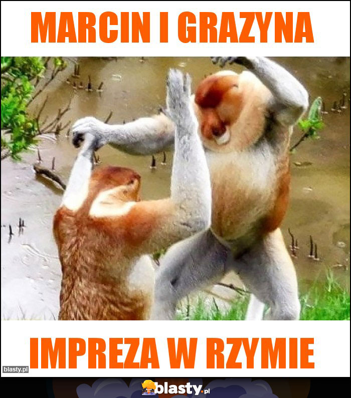 marcin i grazyna