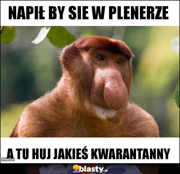 Napił by sie w plenerze