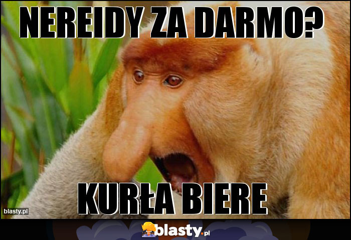 nereidy za darmo?