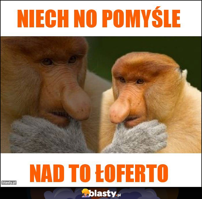 NIECH No pomyśle